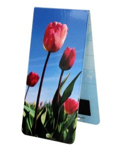 Boekenlegger  Tulpenveld
