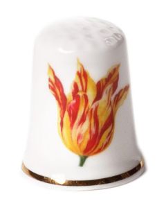 Vingerhoed Tulp