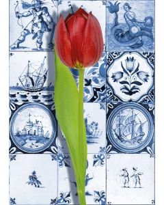 Postkaart Tegels en Tulp