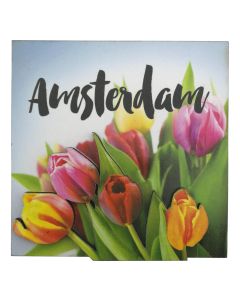 Magneet "Amsterdamse Houten Tulpen"
