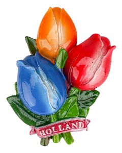 Magneet Tulpenbos - Rood, Oranje & Blauw