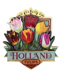 Glanzende Tulpen Magneet Holland Groen 
