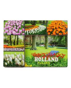 Koelkastmagneet "Tulpen Holland"