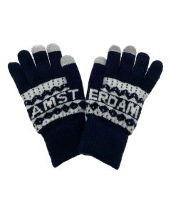 Mannen Handschoenen Amsterdam "Blauw"