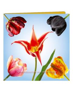 Kaartenmapje Tulpen - 10 Wenskaarten met Enveloppen