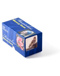 Memory Spel, Mauritshuis Meesterwerken