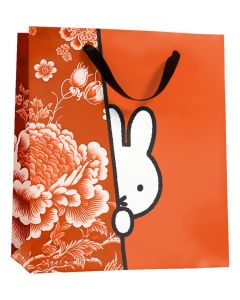 Nijntje Kadotasje Kiekeboe Rood - Medium