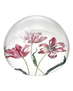 Presse Papier Bol "Drie Tulpen, Maria Sybilla Merian"
