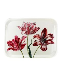 Dienblad Groot  - Drie Tulpen - Maria Sibylla Merian