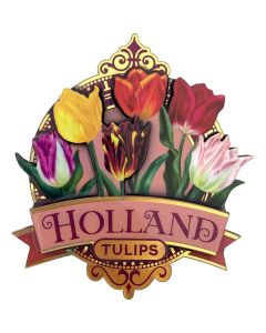 Glanzende Tulpen Magneet Holland