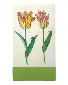 Notitieboekje klein, Twee tulpen
