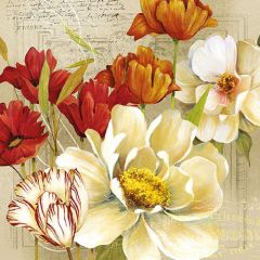 Pack of Napkins "Coralie"