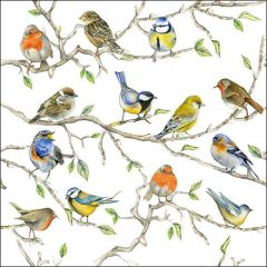 Pack of Napkins "Bird Meeting" (20 pieces)