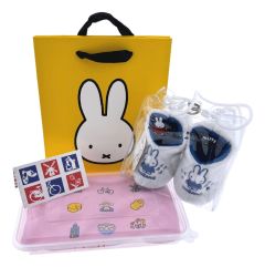 Baby Shirt "Holland Icons" Gift Set – Pink