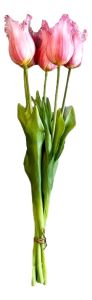 Boeket van 5 Roze Franje Tulpen - 40 cm