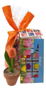Gift Set Tulip Chocolate from Holland - Orange
