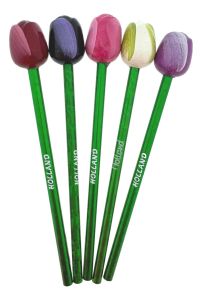 Tulip pencils, set of 5 colors