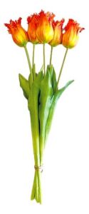 Boeket van 5 Oranje Franje Tulpen - 40 cm
