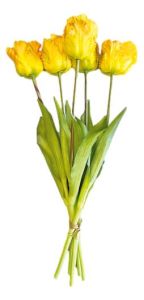Boeket van 5 Gele Papegaaitulpen - 40 cm