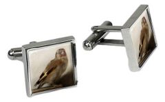 Manchetknopen - Het Puttertje (Carel Fabritius)