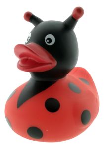 Badeend lieveheersbeestje