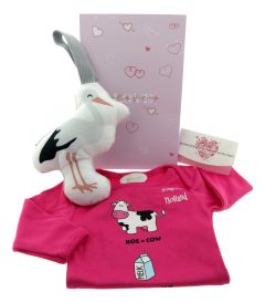Maternity gift "Stork with Romper Pink"