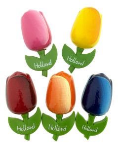 XL Setje Tulp Magneten, 5 stuks Groot