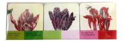 Onderzetters "Het Tulpen Boek" Jacob Marrel 