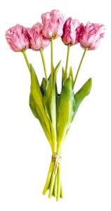 Boeket van 5 Lila Papegaaitulpen - 40 cm