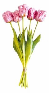 Boeket van 5 Lilac Papegaaitulpen - 40 cm