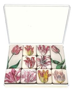 Mini Magneetjes Set Tulpen, Jacob Marrel