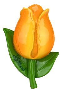Magneet Tulp Geel/Oranje XL