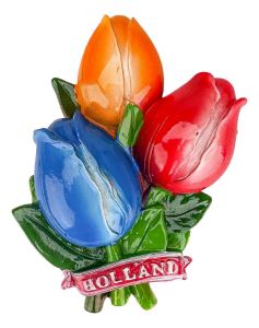 Magneet Tulpenbos - Rood, Oranje & Blauw