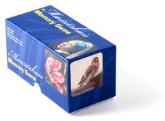 Memory Game, Mauritshuis Masterpieces
