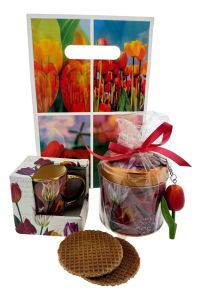 Gift Bag Tulips Pink