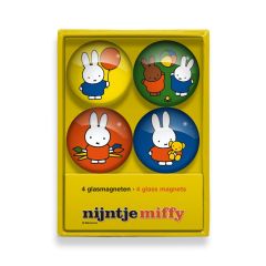 Box of Colorful Miffy Glass Magnets
