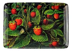 Tray Strawberry - Small