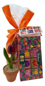 Gift Set Tulip Chocolate from Holland