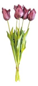 Boeket van 5 Paarse Franje Tulpen - 40 cm