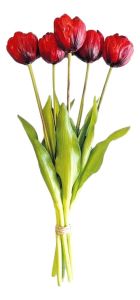 Boeket van 5 Rode Dubbele Blad Tulpen - 40 cm