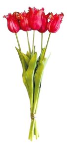 Boeket van 5 Roze Franje Tulpen - 40 cm