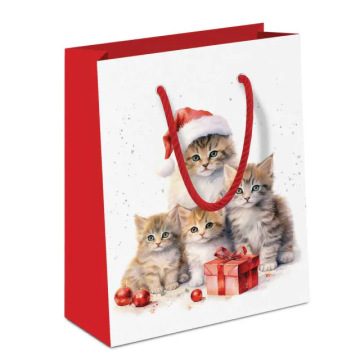 Cadeautasje Meaowy Christmas