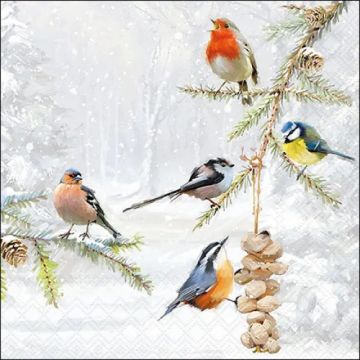 Pakje Servetten "Wintervogels" 