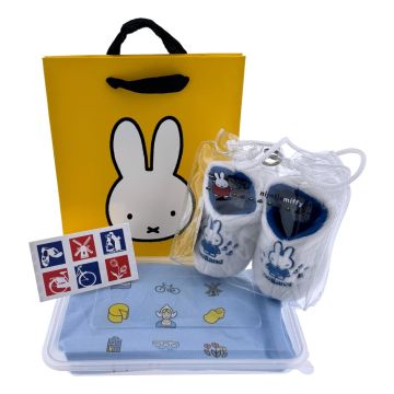 Baby Shirt Cadeauset Holland Icon Blauw