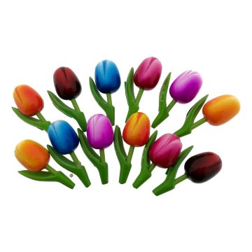 Gift Magnet set 12 Wooden Tulip Magnets, 8 cm