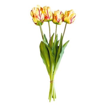 Boeket van 5 Creme/Roze Papegaaitulpen - 40 cm
