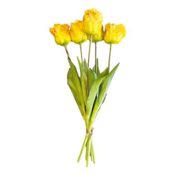 Boeket van 5 Gele Papegaaitulpen - 40 cm