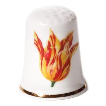Vingerhoed Tulp