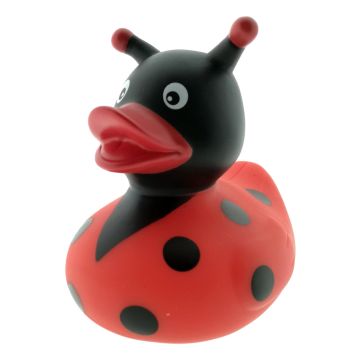 Badeend lieveheersbeestje