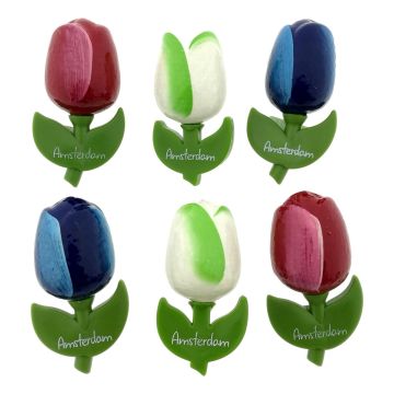 Setje van 6 tulp "Rood/Wit/Blauw" Amsterdam magneten 